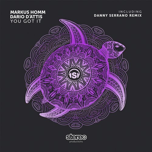 image cover: Dario D'Attis, Markus Homm - You Got It (+Danny Serrano Remix) / SP245