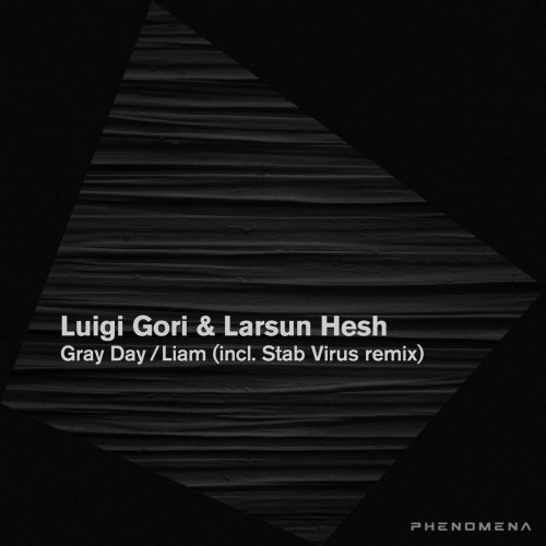 image cover: Luigi Gori, Larsun Hesh, STAB Virus - Gray Day / PHM004