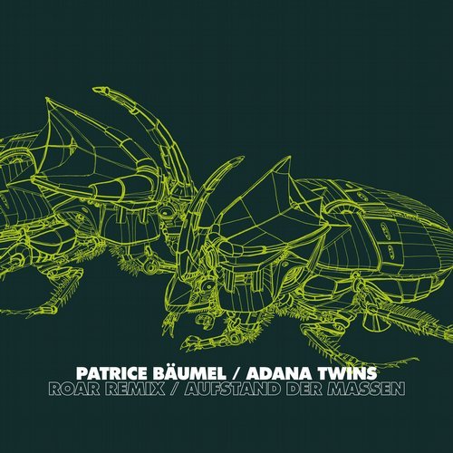 image cover: Patrice Baumel, Adana Twins - Roar Remix / Aufstand der Massen / WGVINYL052