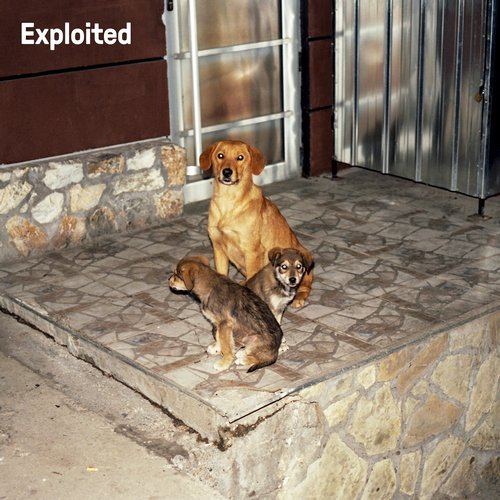 image cover: VA - Shir Khan Presents Exploited 2018 FFWD RWD / EXPDIGITAL174