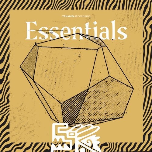 Download VA - Essentials on Electrobuzz