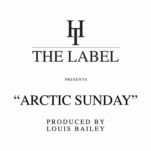 image cover: VA - Arctic Sunday / HTD014