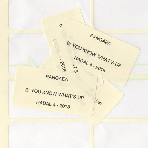 image cover: Pangaea - You Know What's Up / HADAL4D