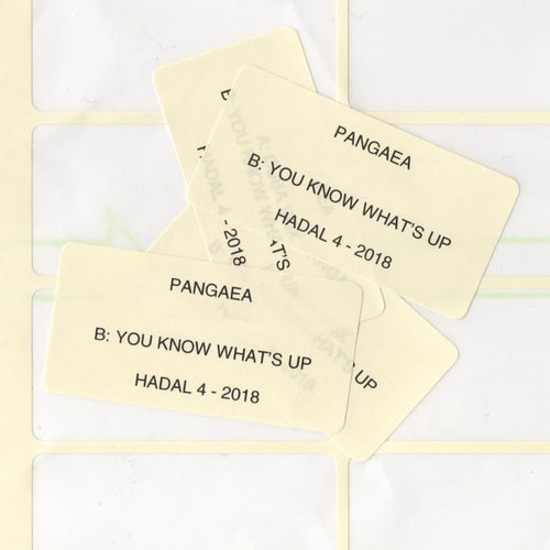 Download Pangaea - You Know What's Up on Electrobuzz