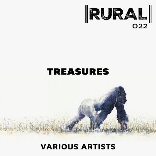 image cover: VA - TREASURES / RUR022