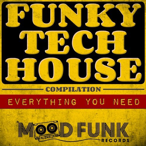 image cover: VA - Funky Tech House Compilation / MFR157