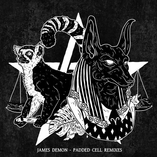 image cover: James Demon - Padded Cell Remixes / 193483057620