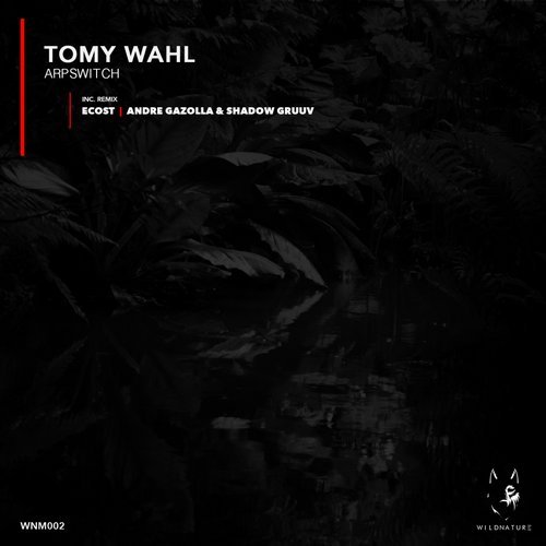 Download Tomy Wahl - Arpswitch on Electrobuzz