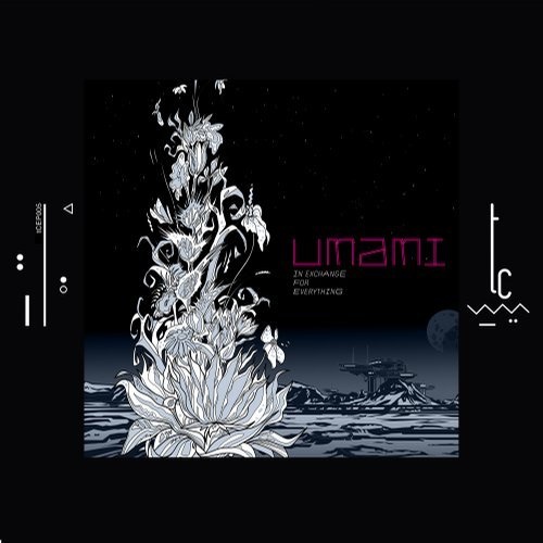 image cover: Umami - In Exchange For Everything / TCEO005