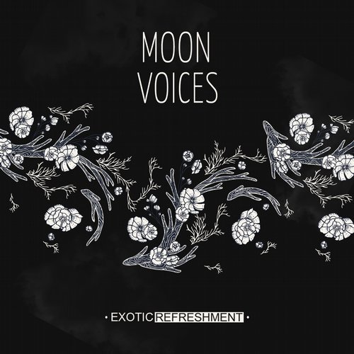 image cover: VA - Moon Voices / EXRC031