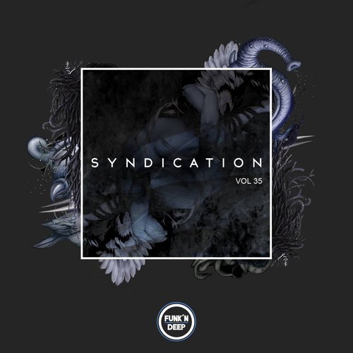 Download VA - Syndication, Vol. 35 on Electrobuzz