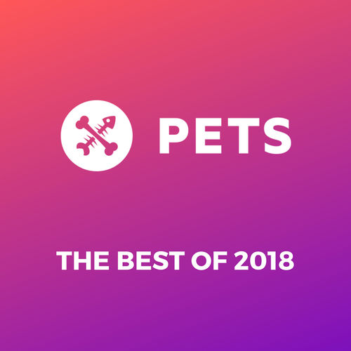 image cover: VA - PETS Recordings Best of 2018 / Pets Recordings