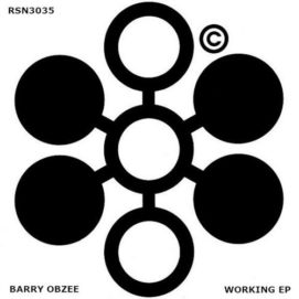 0751 346 09126627 Barry Obzee - Working EP / RSN3035