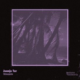 0751 346 09141841 Juanjo Tur, Pasqu Giner - Sinopsis / NS090