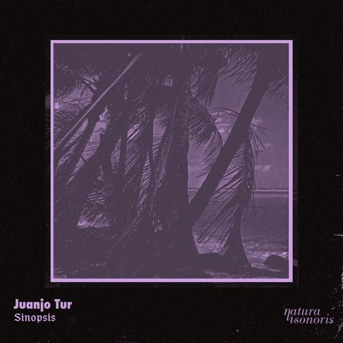 Download Juanjo Tur, Pasqu Giner - Sinopsis on Electrobuzz
