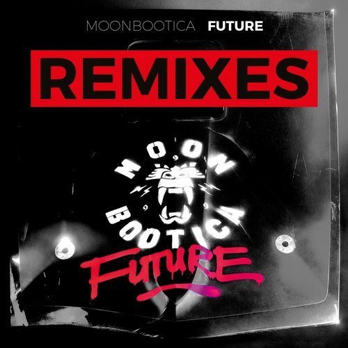 image cover: VA - Future (Remixes) / 4251513982260