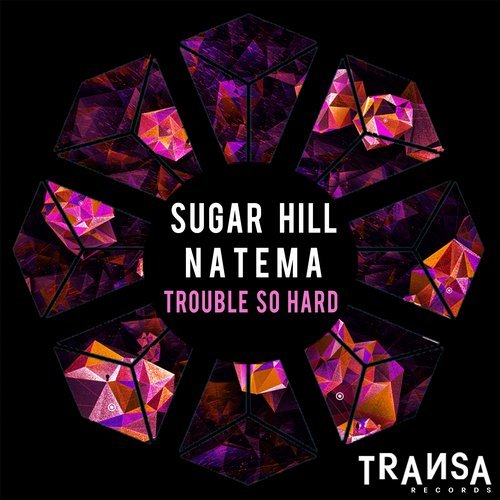 image cover: Natema, Sugar Hill - Trouble So Hard / TRANSA024