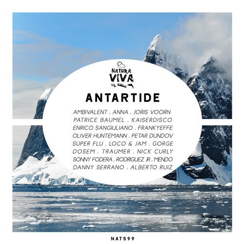 image cover: VA - Antartide / NAT599