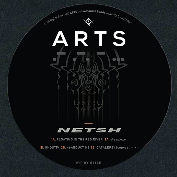 image cover: Netsh - Artificial Sin / ARTS037