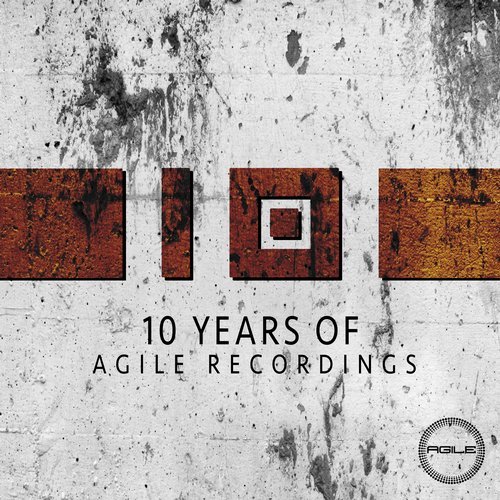 image cover: VA - 10 YEARS OF AGILE RECORDINGS / AGILE096