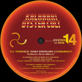 001251 346 091109186 DJ Trance & Darwin Chamber - Indians And Aliens / OYSTER14