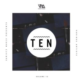 001251 346 09121554 VA - Variety Music pres. TEN Vol. 13 / VMCOMP371