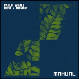 001251 346 09128319 Carlo Whale - Trust / Midnight / MAN262
