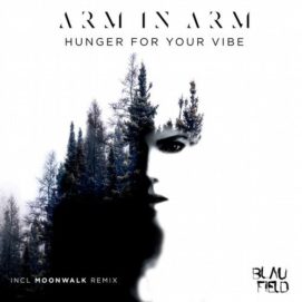 001251 346 09134670 Arm In Arm, Moonwalk - Hunger for Your Vibe / BFMB052