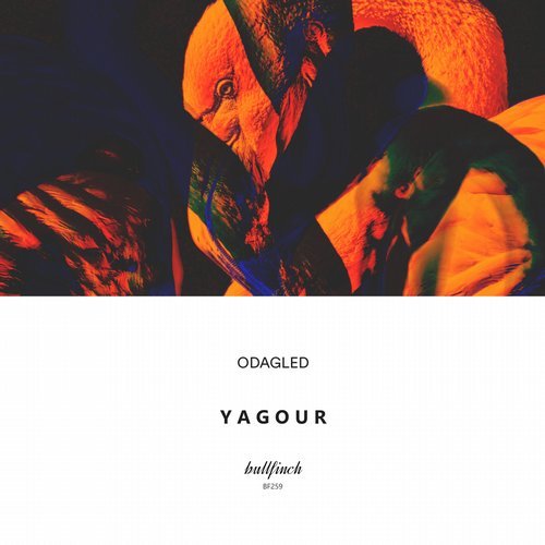 image cover: Odagled - Yagour / BF259