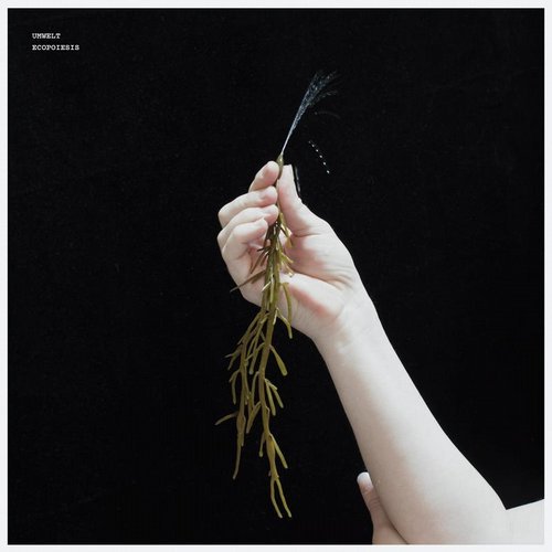 Download Umwelt - Ecopoiesis on Electrobuzz