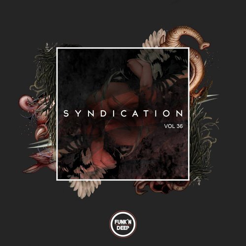 Download VA - Syndication, Vol. 36 on Electrobuzz