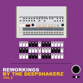 0751 346 09137002 The Deepshakerz, Ammo Avenue, David Herrero, Mekkawy - Reworkings By The Deepshakerz, Vol.5 / SAFERW005