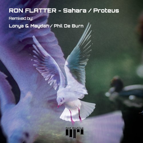 image cover: Ron Flatter - Sahara / Proteus / BB074