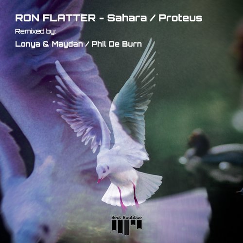 Download Ron Flatter - Sahara / Proteus on Electrobuzz