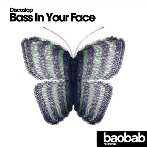 image cover: Discoslap - Bass In Your Face / BR48