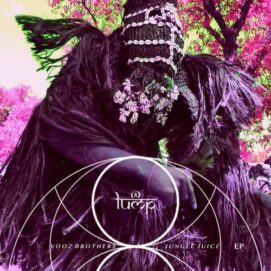 0751 346 09187608 Vooz Brothers - Jungle Juice / LMP69