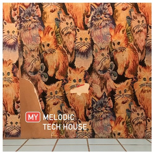 image cover: VA - My Melodic Tech House / PUSH064