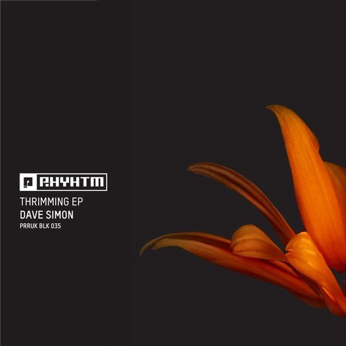 Download Dave Simon - Thrimming EP on Electrobuzz