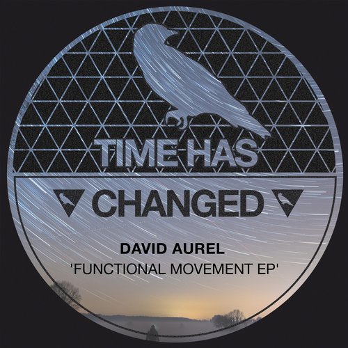 image cover: David Aurel - Functional Movement / THCD171