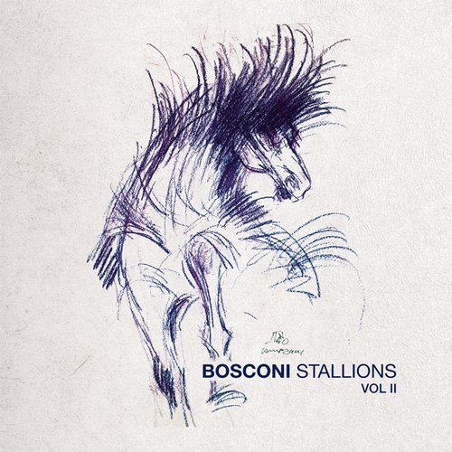 image cover: VA - Bosconi Stallions Vol.2 - !0 Years Of Bosconi Records / BOSCOLP03