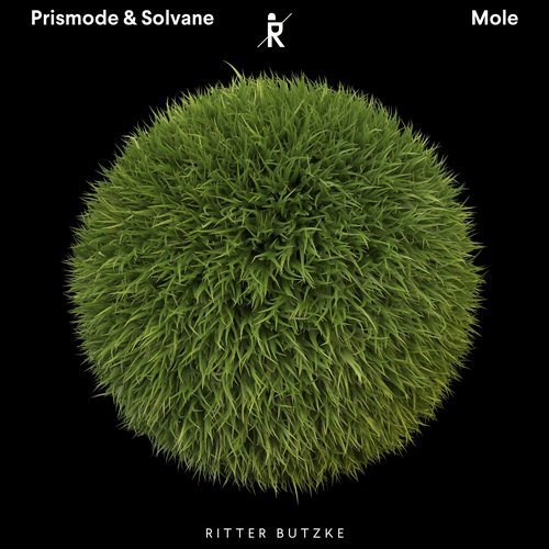 image cover: Solvane, Prismode - Mole EP / RBS157
