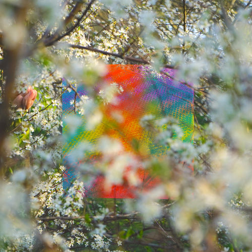 image cover: Four Tet - Teenage Birdsong / Text