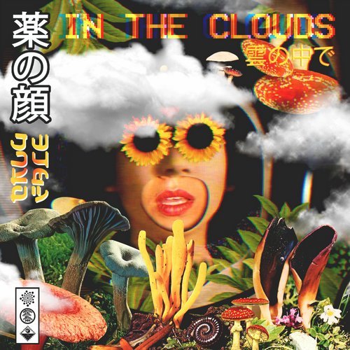image cover: Drugface - In The Clouds / MC042
