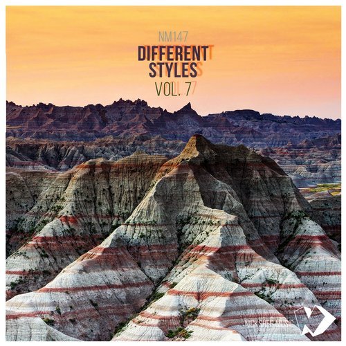 image cover: VA - Different Styles Vol.7 / NM147