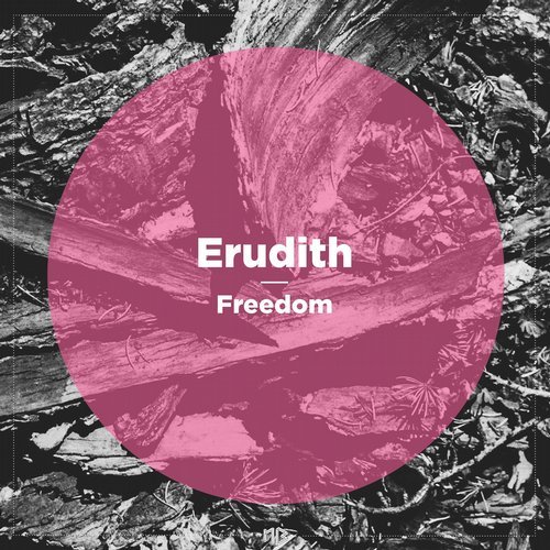 image cover: Erudith - Freedom / NBR074