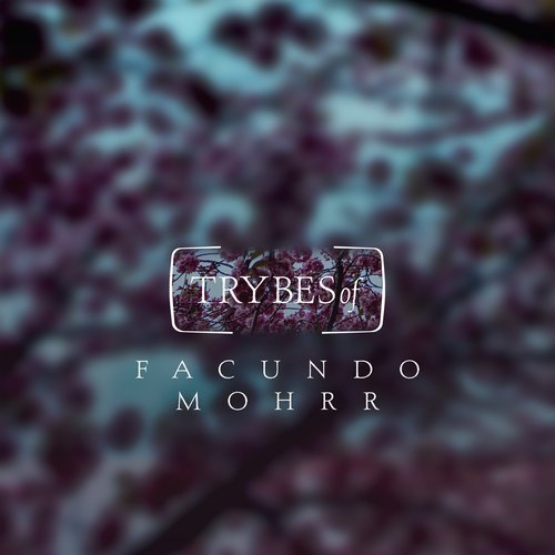 image cover: Facundo Mohrr - Mandancer / TRY004
