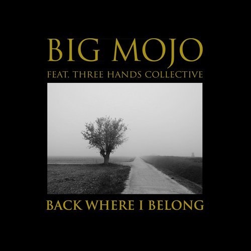 image cover: Big Mojo - Back Where I Belong (THC Remix) / TH182B