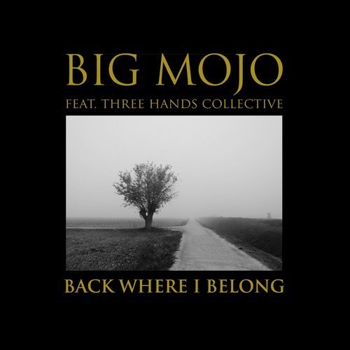 Download Big Mojo - Back Where I Belong (THC Remix) on Electrobuzz