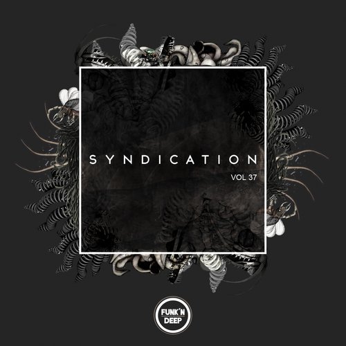 Download VA - Syndication, Vol. 37 on Electrobuzz