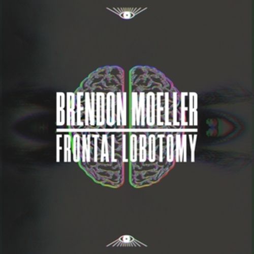 Download Brendon Moeller - Frontal Lobotomy on Electrobuzz